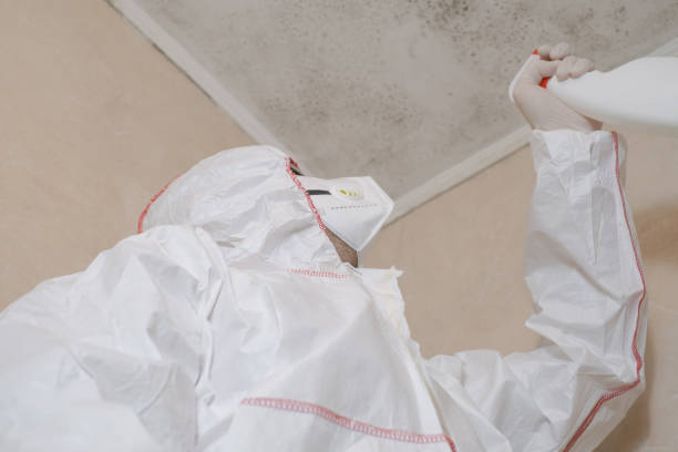 Best Commercial Mold Removal  in Bells, TN
